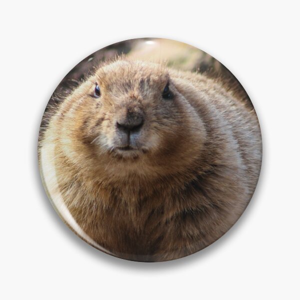 Item preview, Black Tailed Prairie Dog designed and sold by KcsArt87.