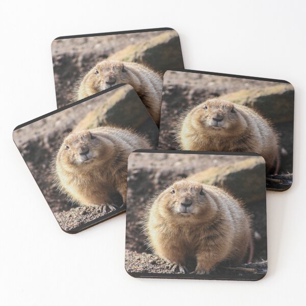 Item preview, Black Tailed Prairie Dog designed and sold by KcsArt87.
