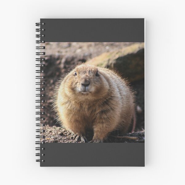 Item preview, Black Tailed Prairie Dog designed and sold by KcsArt87.