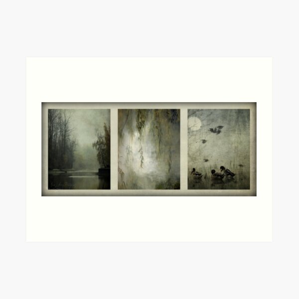 Everglades Art Print