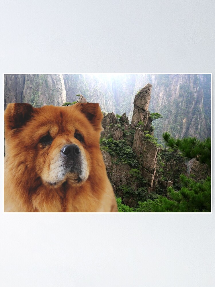 Poster Perro Chow Chow De Erikakaisersot Redbubble