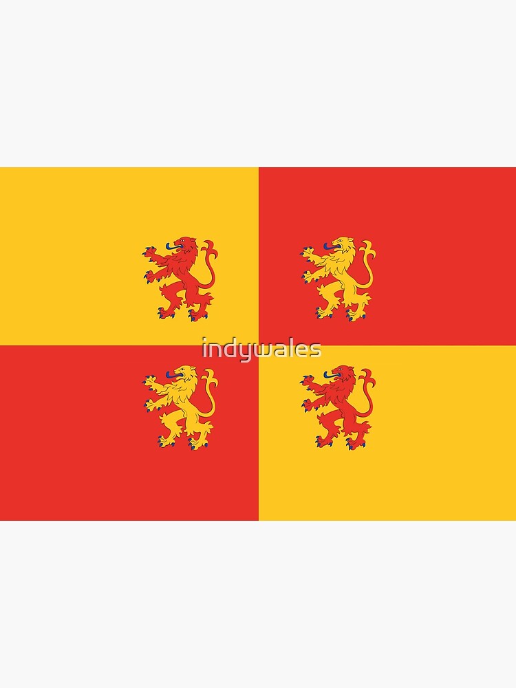 Baner Owain Glyndŵr Flag, Welsh Flag, Wales by indywales