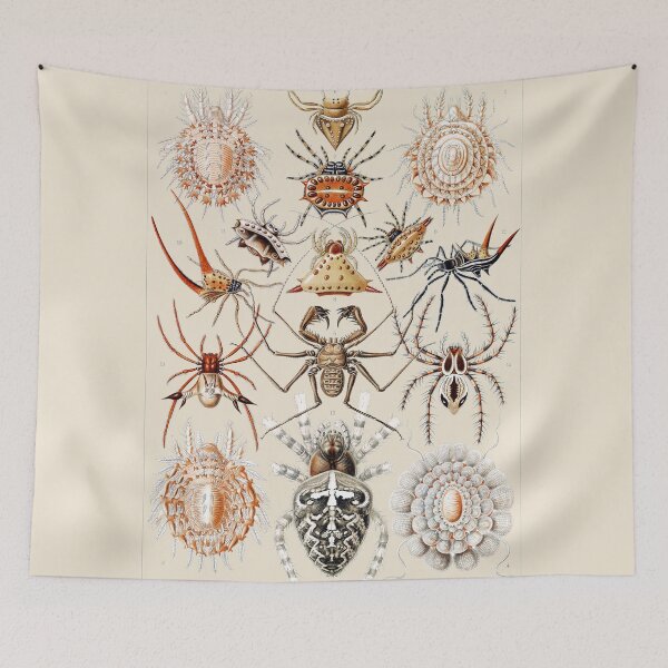 Item preview, Arachnida Scientific Plate designed and sold by Flamin' Galah.