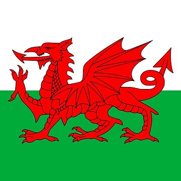 Buy Ddraig Goch Trans Flag, Wales Pride Design