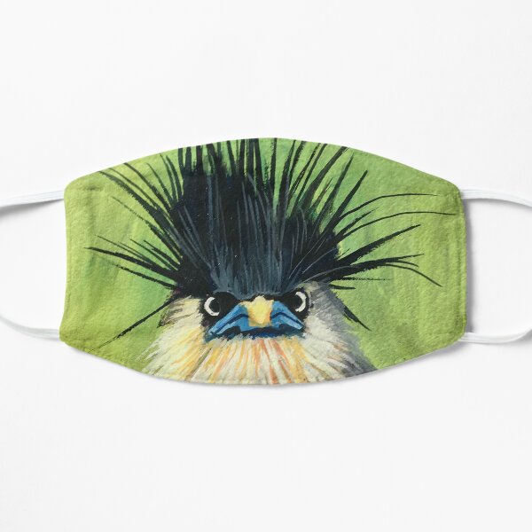 This bird, A Brahminy Starling, showing off hair in the time of a pandemic. Flat Mask
