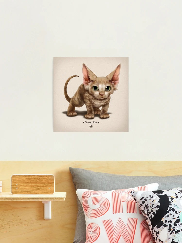 Cataclysm Devon Rex Kitten Classic