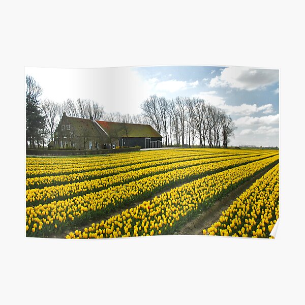 Spring on Flakkee 7 Poster