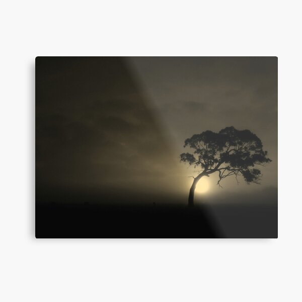 The Bodhi-tree Metal Print