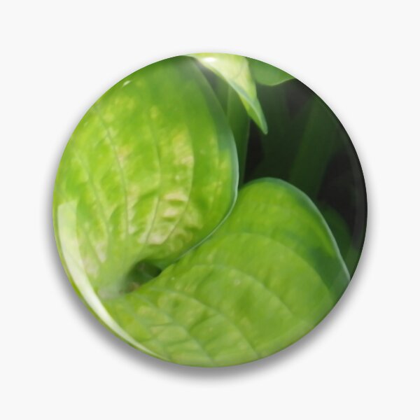 Item preview, Perennial Joy: Green Hosta Leaves designed and sold by Betty Mackey.
