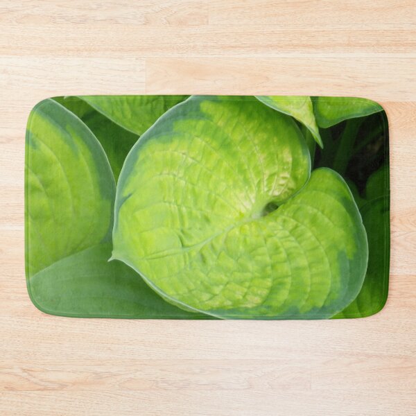 Item preview, Perennial Joy: Green Hosta Leaves designed and sold by Betty Mackey.