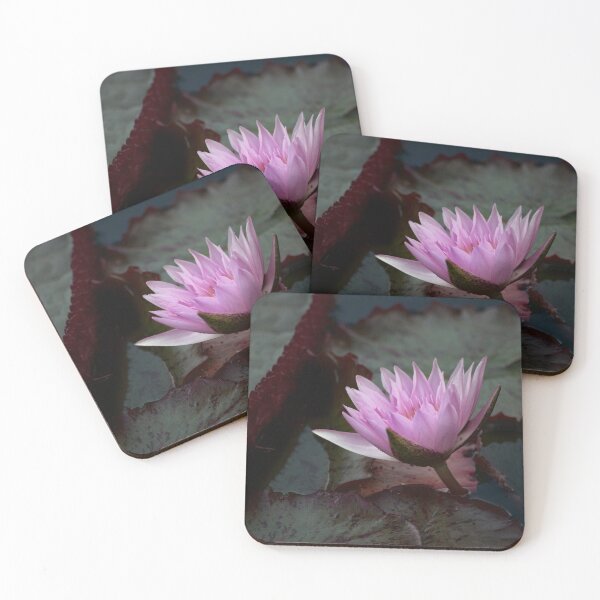 Item preview, Beauty Never Sleeps designed and sold by John Rivera.