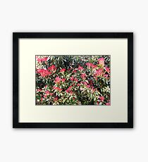 FIRE BUSH Framed Print