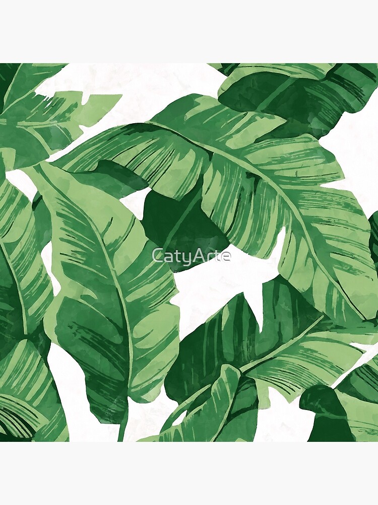 Tropical banana leaves II by CatyArte