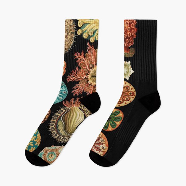 Item preview, Ascidiacea - Sea Squirts designed and sold by Flamin' Galah.