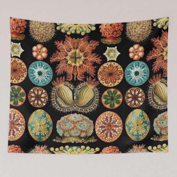 Item preview, Ascidiacea - Sea Squirts designed and sold by Flamin' Galah.