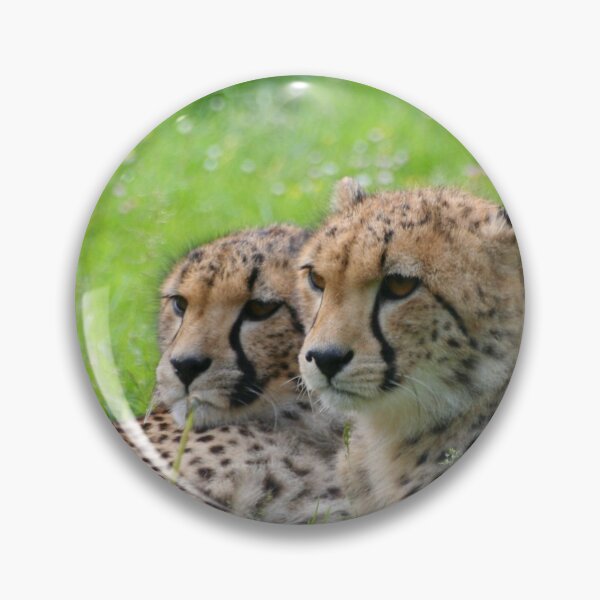 Artikelvorschau, Cheetah 001 entworfen und verkauft von JAMFoto.