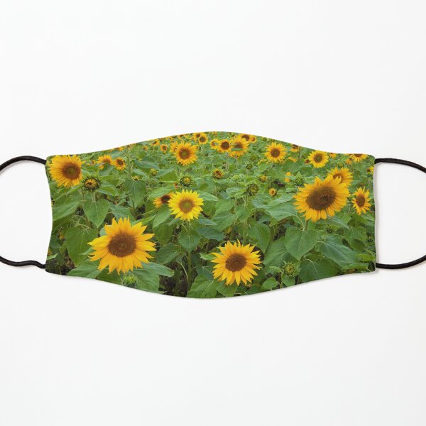 Sunflowers Kids Mask
