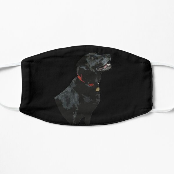 Adoration from a Black Labrador dog Mask
