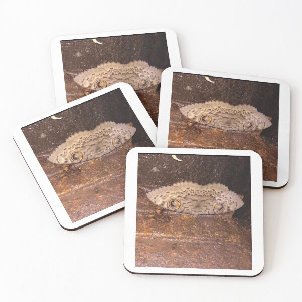 Item preview, Owl moth designed and sold by Simmikreative.
