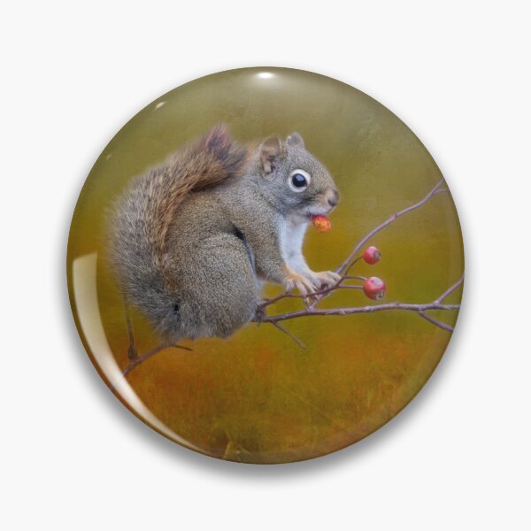 Item preview, Squirrelly designed and sold by Michel (Mike) Soucy.