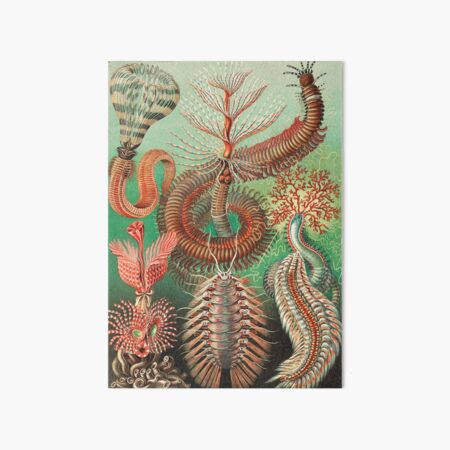 Item preview, Polychaete Worms designed and sold by Flamin' Galah.