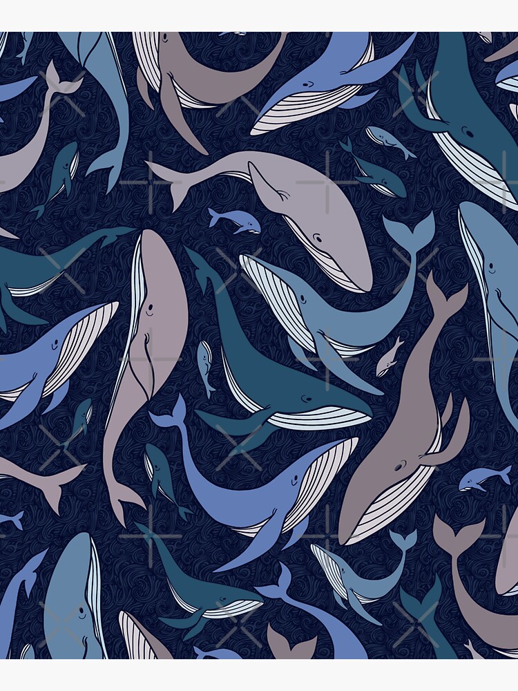 School of whales by Elenanaylor