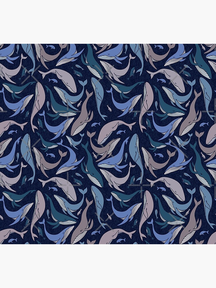 School of whales by Elenanaylor