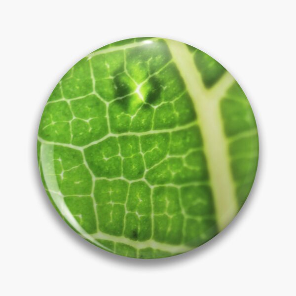 Item preview, Fiddle Leaf Ficus designed and sold by Karin Elizabeth.
