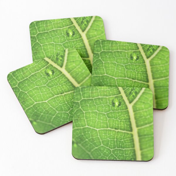 Item preview, Fiddle Leaf Ficus designed and sold by Karin Elizabeth.
