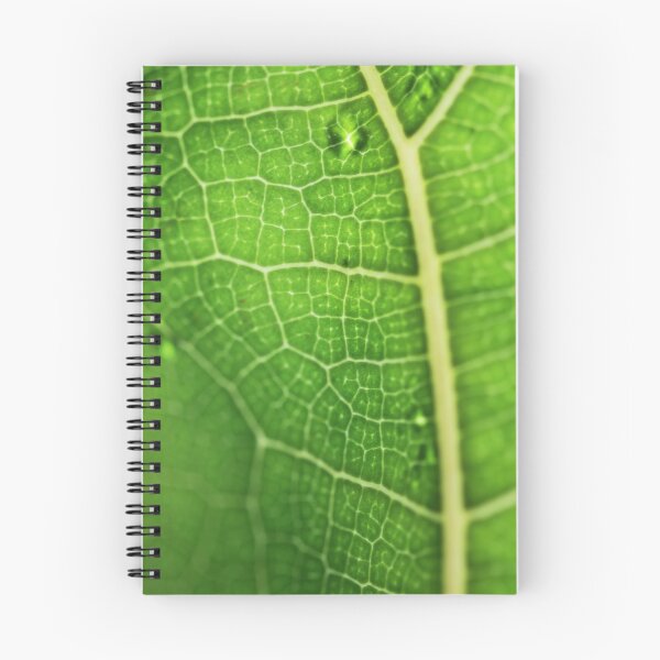Item preview, Fiddle Leaf Ficus designed and sold by Karin Elizabeth.