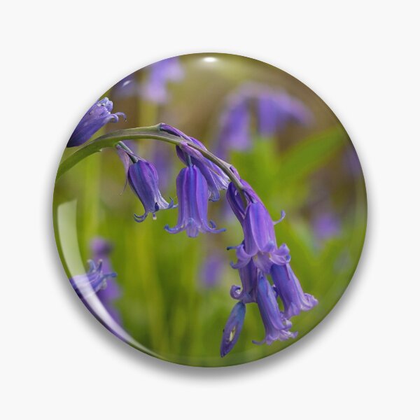 Item preview, Common Bluebells Photo designed and sold by Dan Newton.