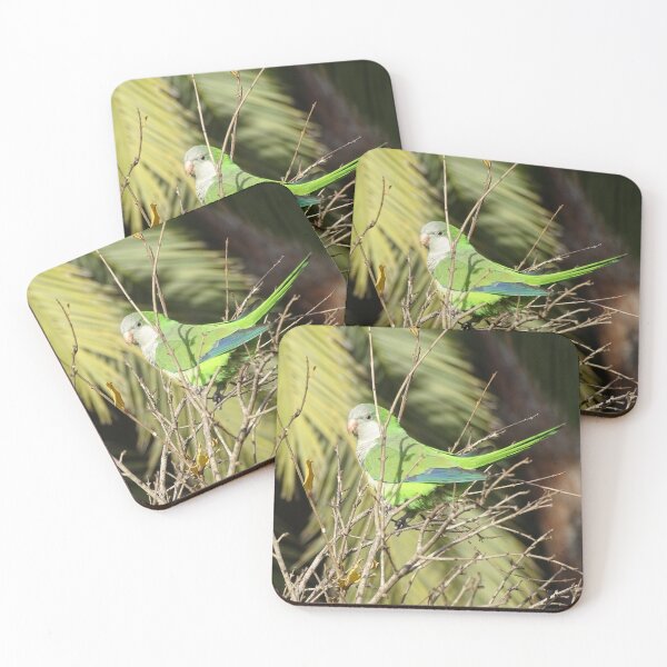 Item preview, Monk Parakeet in tree designed and sold by Catavan.