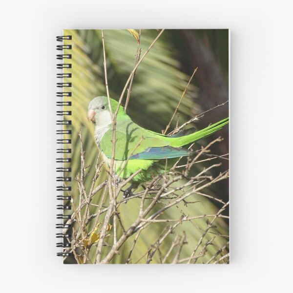 Item preview, Monk Parakeet in tree designed and sold by Catavan.