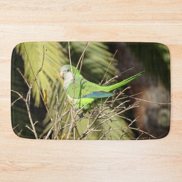 Item preview, Monk Parakeet in tree designed and sold by Catavan.