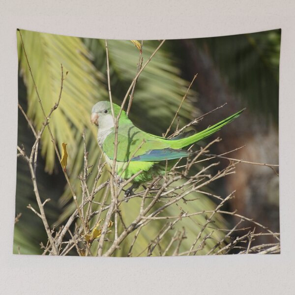 Item preview, Monk Parakeet in tree designed and sold by Catavan.