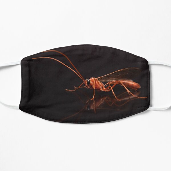 Orange Ichneumon Wasp Portrait Flat Mask