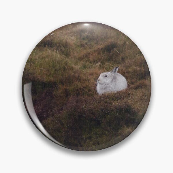 Item preview, Mountain Hare in the Peak District designed and sold by Dan Newton.
