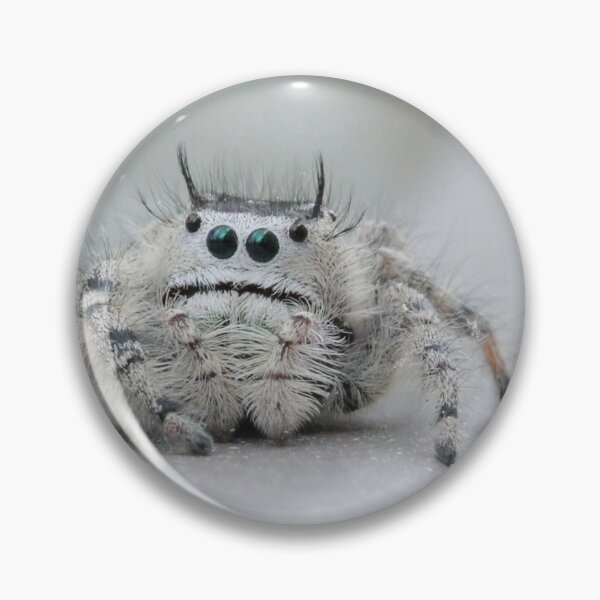 Item preview, I am watching you! designed and sold by Sheryl Hopkins.