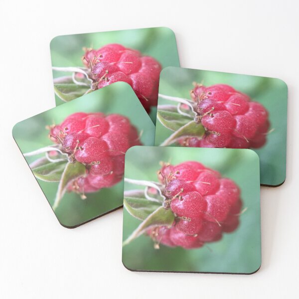 Item preview, Raspberry wild raspberry close up nature photography designed and sold by RAbeille.