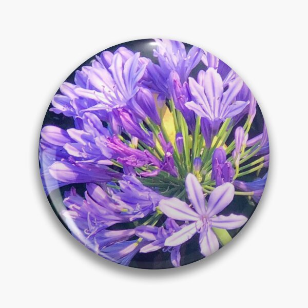 Item preview, Amazing Agapanthus  designed and sold by KazM.