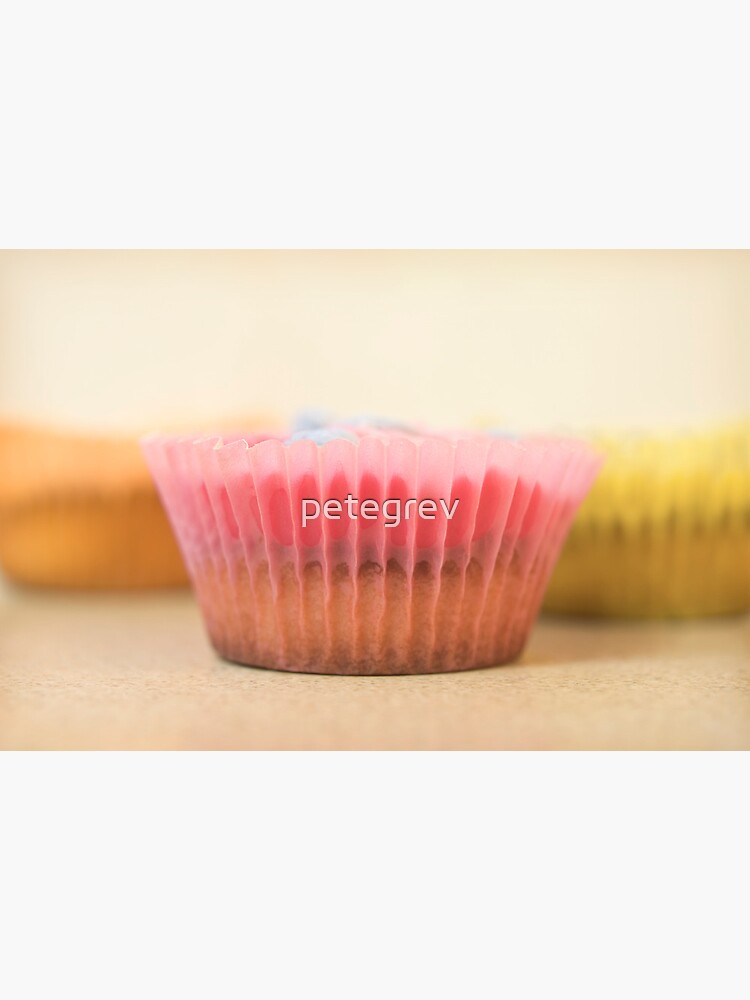 Day 285 - 20th April 2012 by petegrev