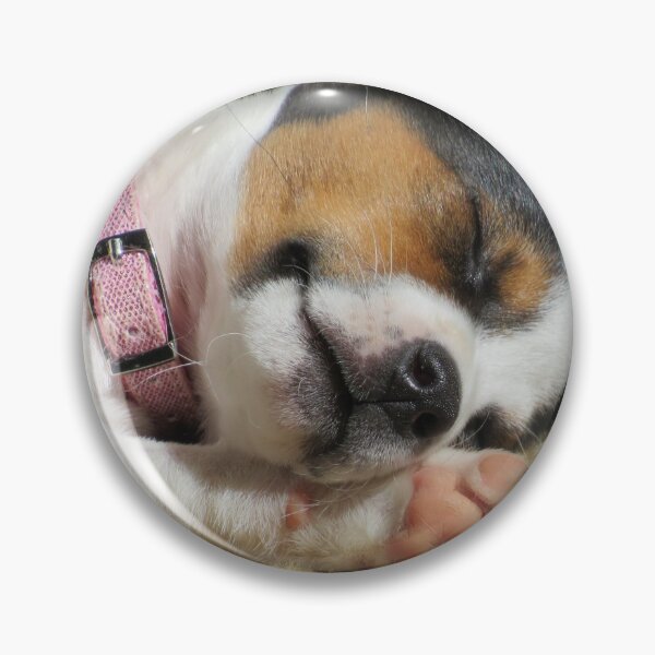 Item preview, Cuteness Overload  designed and sold by Tonia Delozier's Photography .