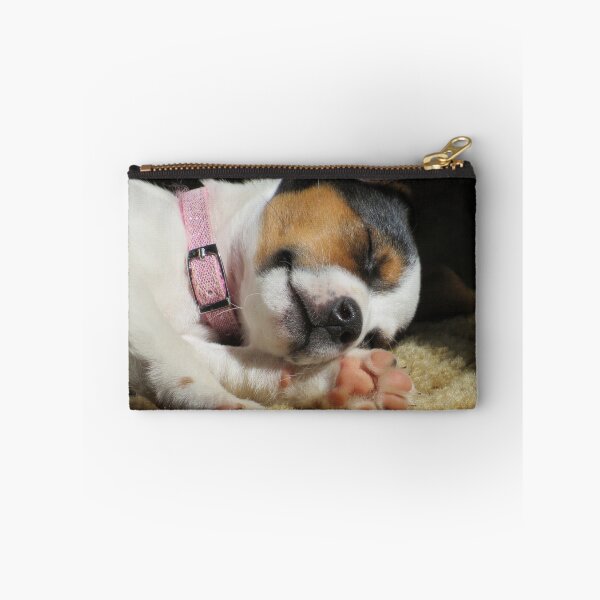 Item preview, Cuteness Overload  designed and sold by Tonia Delozier's Photography .