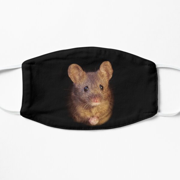 Mouse with cold hands Flat Mask
