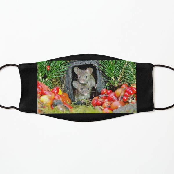 two wild garden house mice in a log home Kids Mask