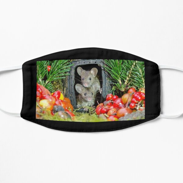 two wild garden house mice in a log home Mask