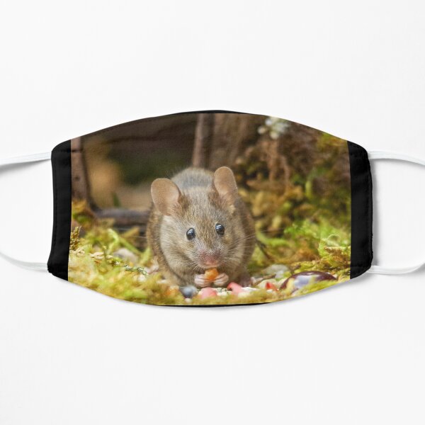 George the mouse in a log pile house Mask