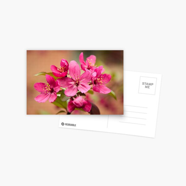 Item preview, Crab Apple Blossoms designed and sold by Robert Kelch, M.D..