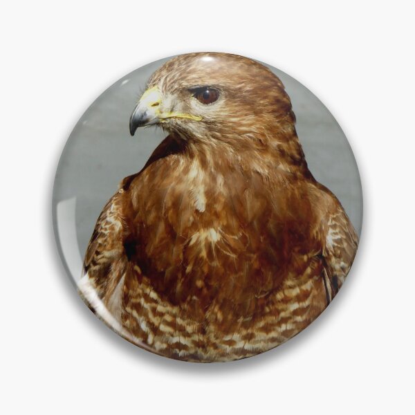 Item preview, bird of prey designed and sold by Perggals© - Stacey Turner.
