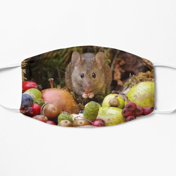 wild house mouse Mask